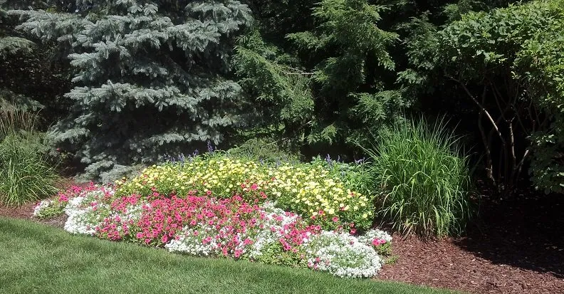Custom yard maintenance for residential properties in Saline, MI by A & H Lawn Service