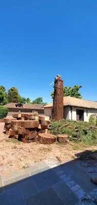 A & I Tree Service Logo