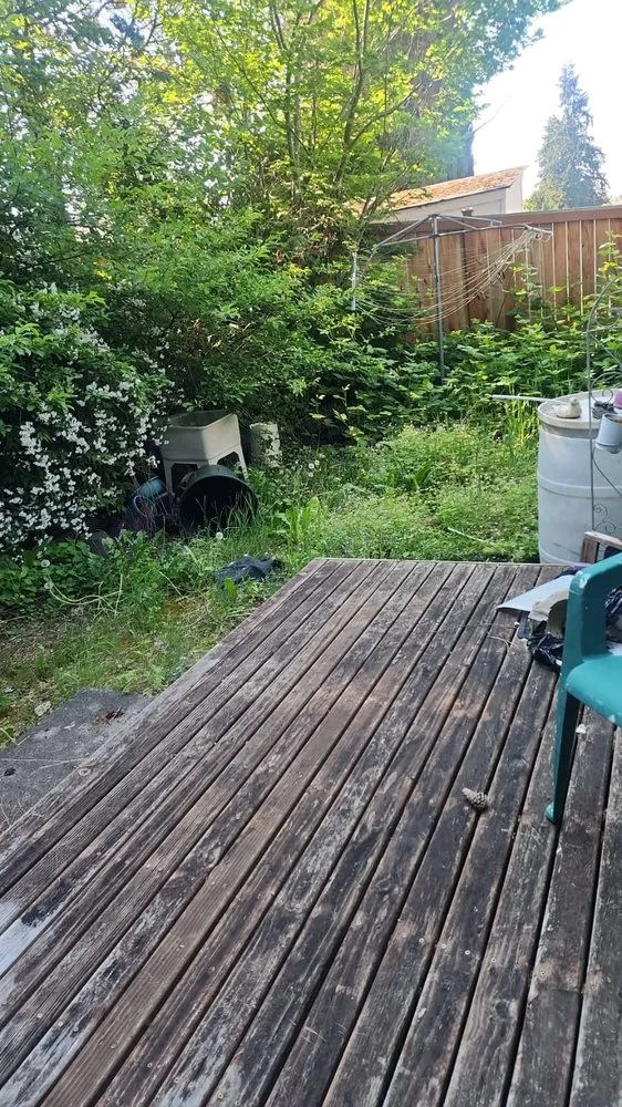 Top-rated yard cleanup service experts serving Kent, WA - A & J Express Services