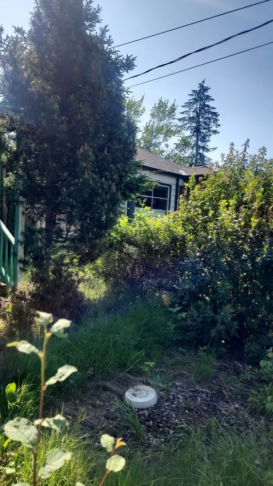 Top-rated garden landscaping in Kent, WA by A & J Express Services