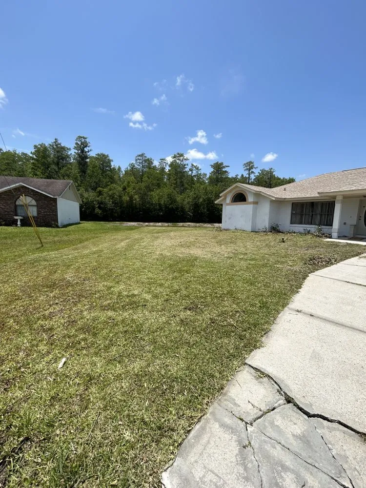 Professional landscape design in Kissimmee, FL by A & J