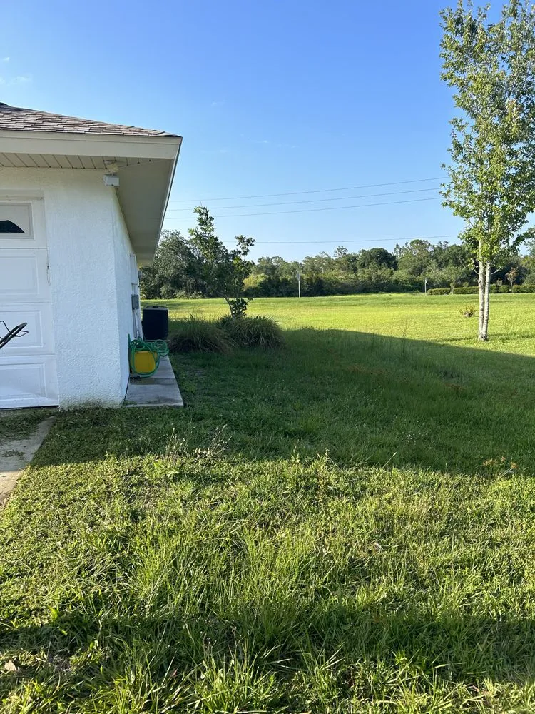 Custom landscaping services for year-round maintenance across Kissimmee, FL - A & J