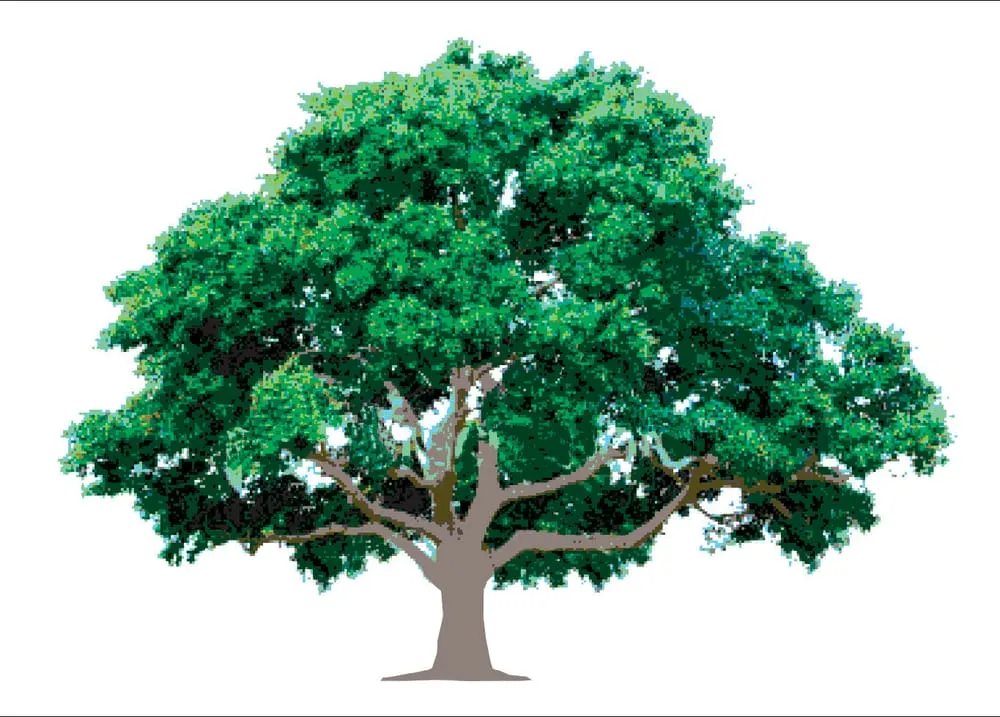 Expert yard cleanup service for year-round maintenance across Pennsauken, NJ - A & J Landscape Supply and Garden Center