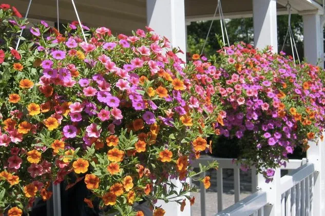 Local lawn mowing service experts serving Pennsauken, NJ - A & J Landscape Supply and Garden Center