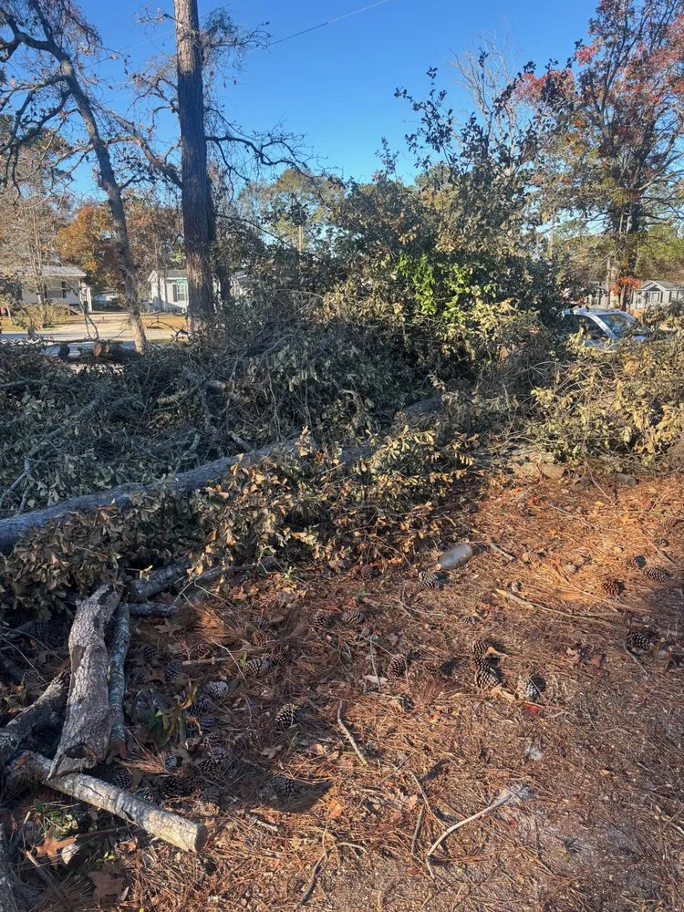 Local landscaping services with custom design across Ash, NC - A & J Lawn Care & Landscaping