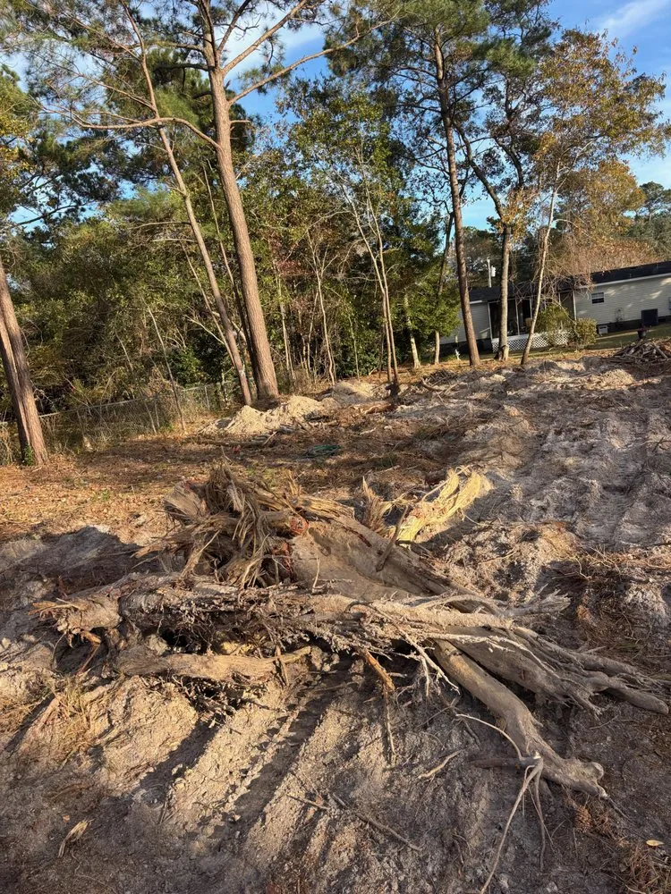 Local outdoor landscaping near you across Ash, NC - A & J Lawn Care & Landscaping