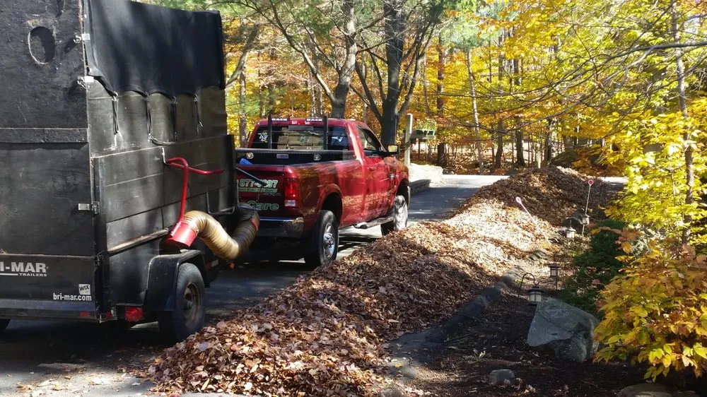 Affordable garden landscaping in Spring Brook Township, PA - A & J Lawn Care