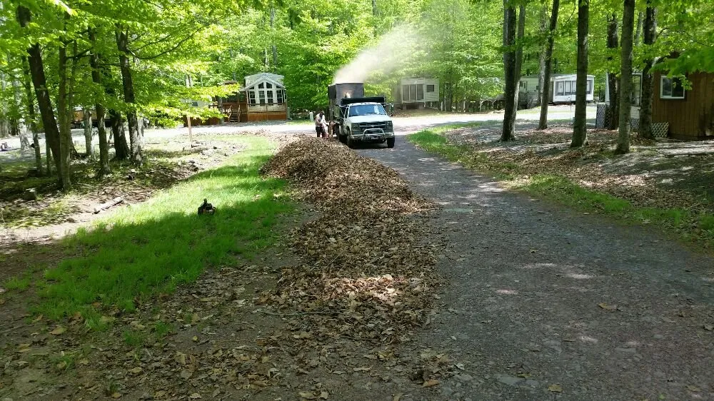 Custom yard maintenance experts serving Spring Brook Township, PA - A & J Lawn Care