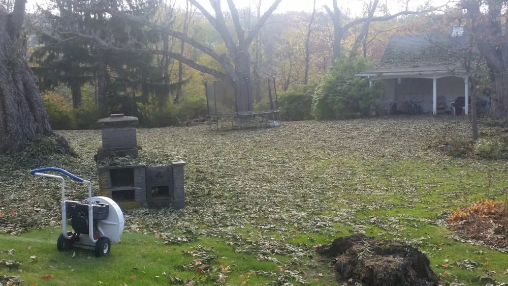Trusted residential landscaping experts serving Spring Brook Township, PA - A & J Lawn Care