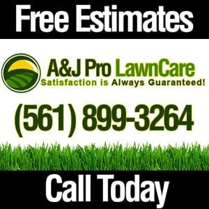 Professional landscape design experts serving West Palm Beach, FL - A & J Pro Lawn Care