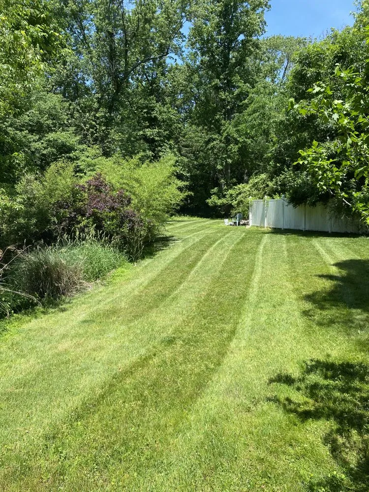 Affordable yard cleanup service in Haskell, NJ by A & J Property Services