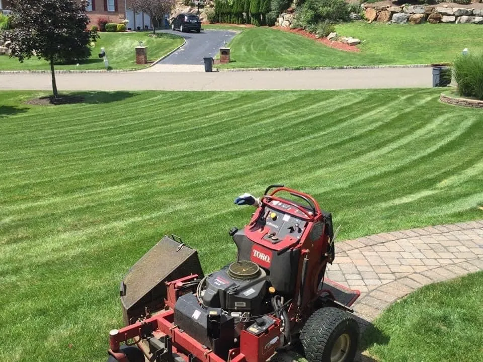 Custom yard cleanup service for residential properties across Haskell, NJ - A & J Property Services