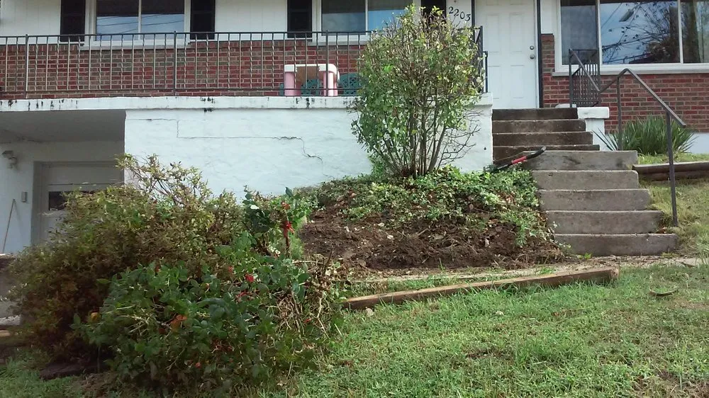 Affordable yard cleanup service in Milford, OH by A & J Tree Removal