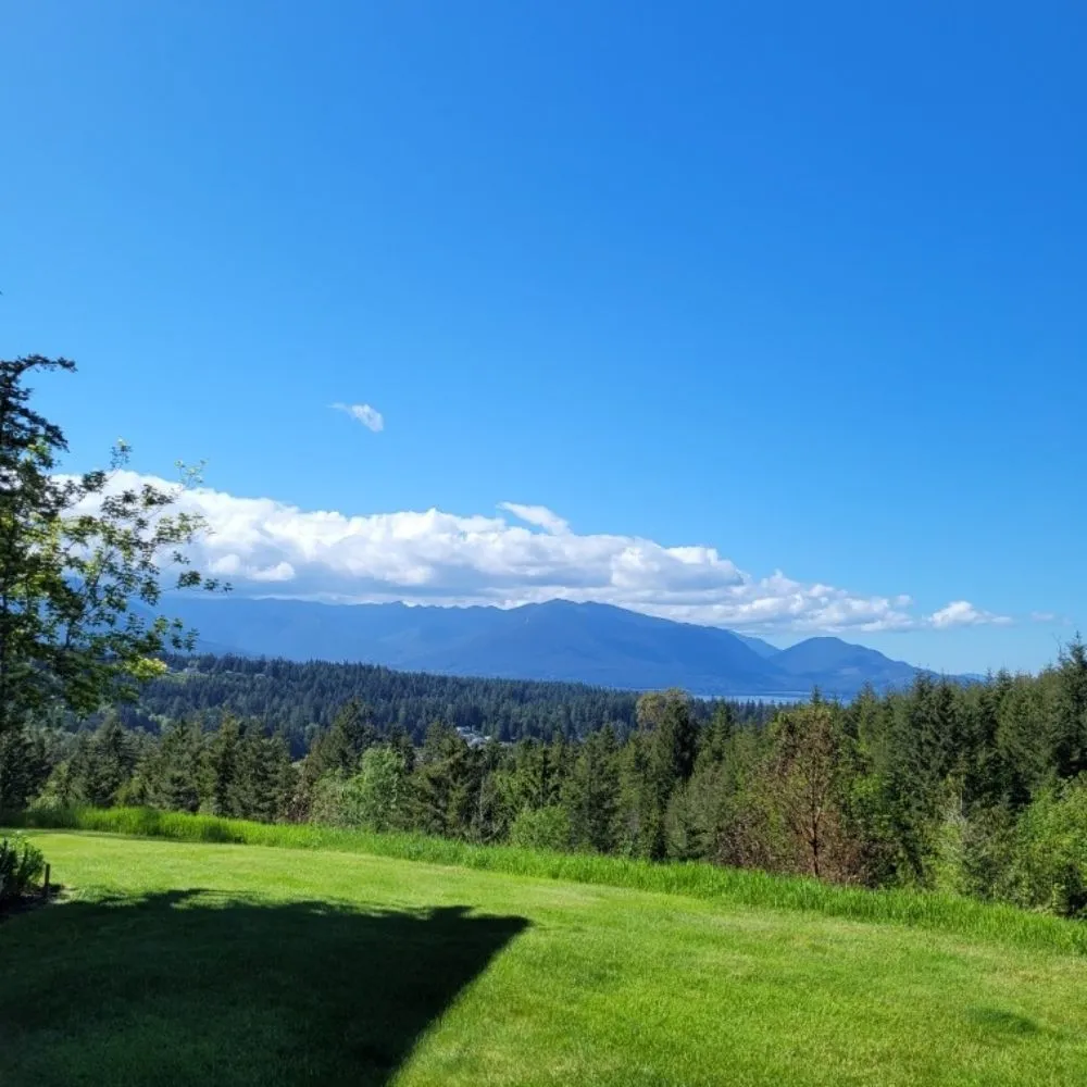 Local yard maintenance near you in Santa Rosa, CA by A & J Yard Service