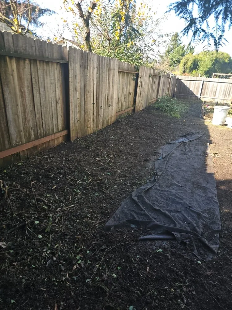 Expert landscape installation for residential properties across Santa Rosa, CA - A & J Yard Service