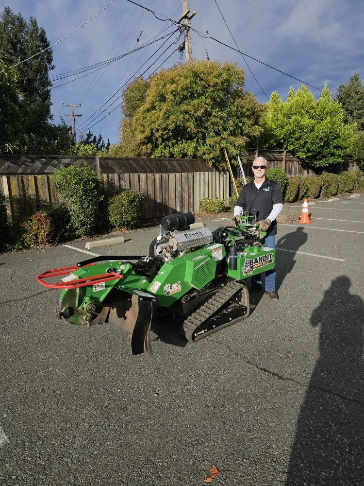 Custom yard cleanup service with custom design in Santa Rosa, CA by A & J Yard Service