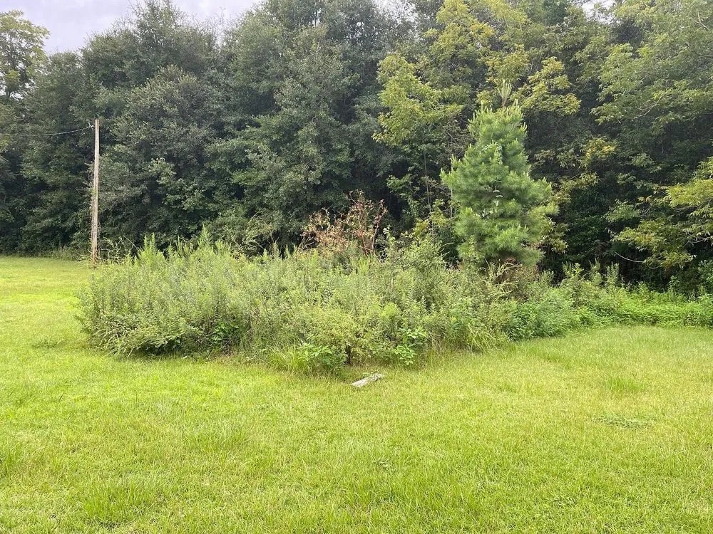 Custom lawn mowing service for year-round maintenance across Quincy, FL - A & J's Lawncare