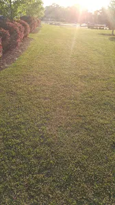 Trusted outdoor landscaping near you across Quincy, FL - A & J's Lawncare