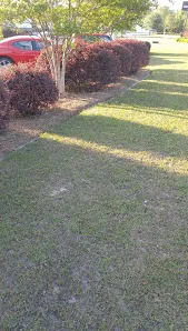Local landscaping services for year-round maintenance across Quincy, FL - A & J's Lawncare