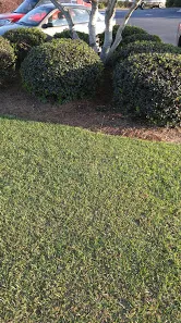 Local landscaping services experts serving Quincy, FL - A & J's Lawncare