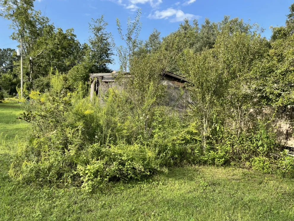 Expert lawn mowing service in Quincy, FL - A & J's Lawncare