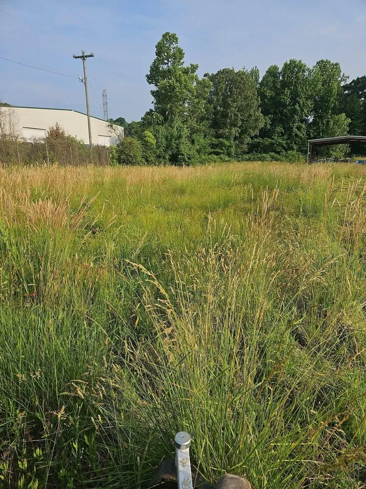 Custom yard cleanup service experts serving Kernersville, NC - A & K handyman service