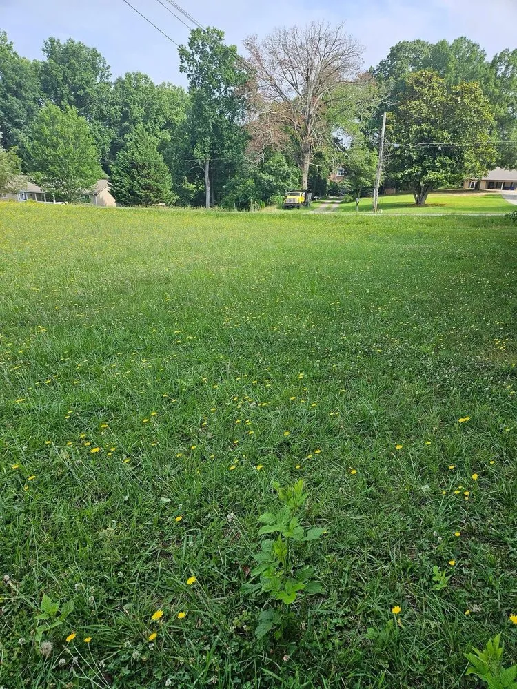 Expert lawn mowing service for year-round maintenance across Kernersville, NC - A & K handyman service