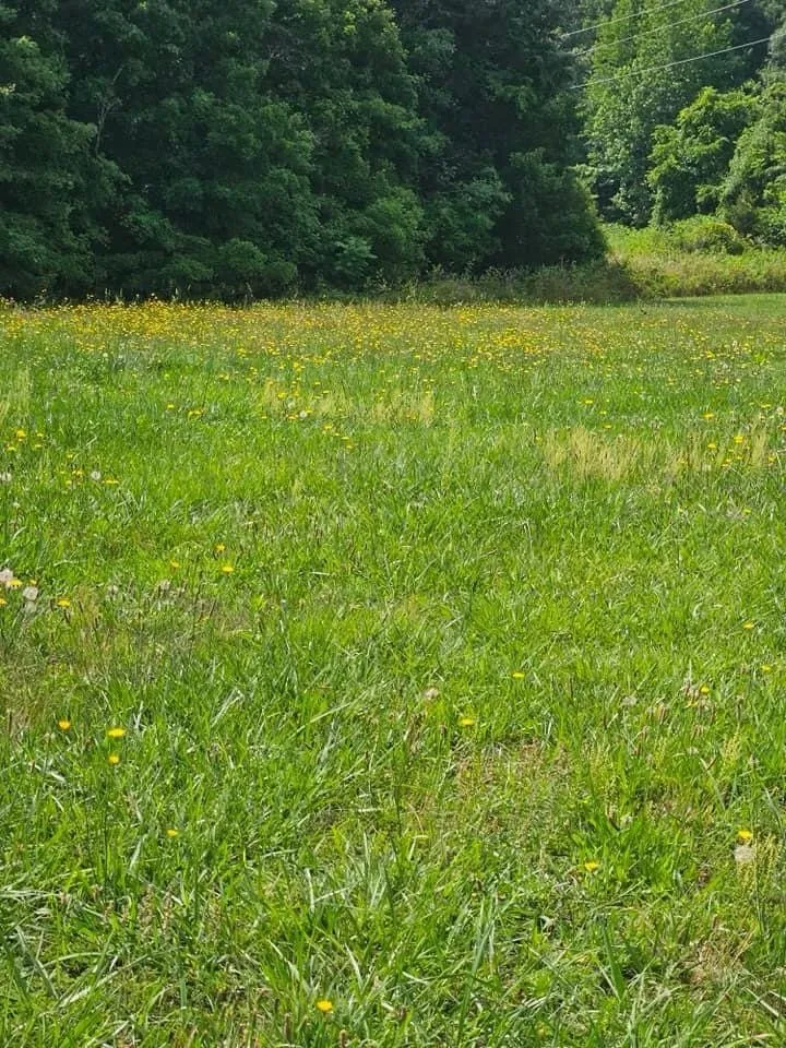 Reliable garden landscaping with custom design in Kernersville, NC by A & K handyman service