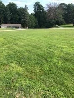 Professional outdoor landscaping in Kernersville, NC by A & K handyman service