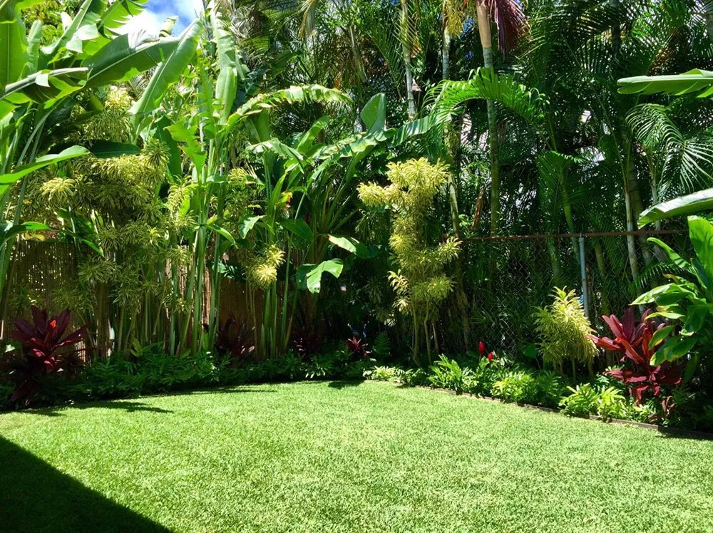 Expert lawn care service in Kailua, HI by A & K Landscape Services