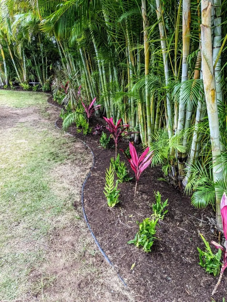 Local garden landscaping experts serving Kailua, HI - A & K Landscape Services