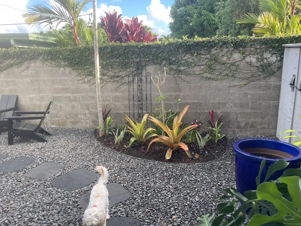 Affordable yard cleanup service experts serving Kailua, HI - A & K Landscape Services