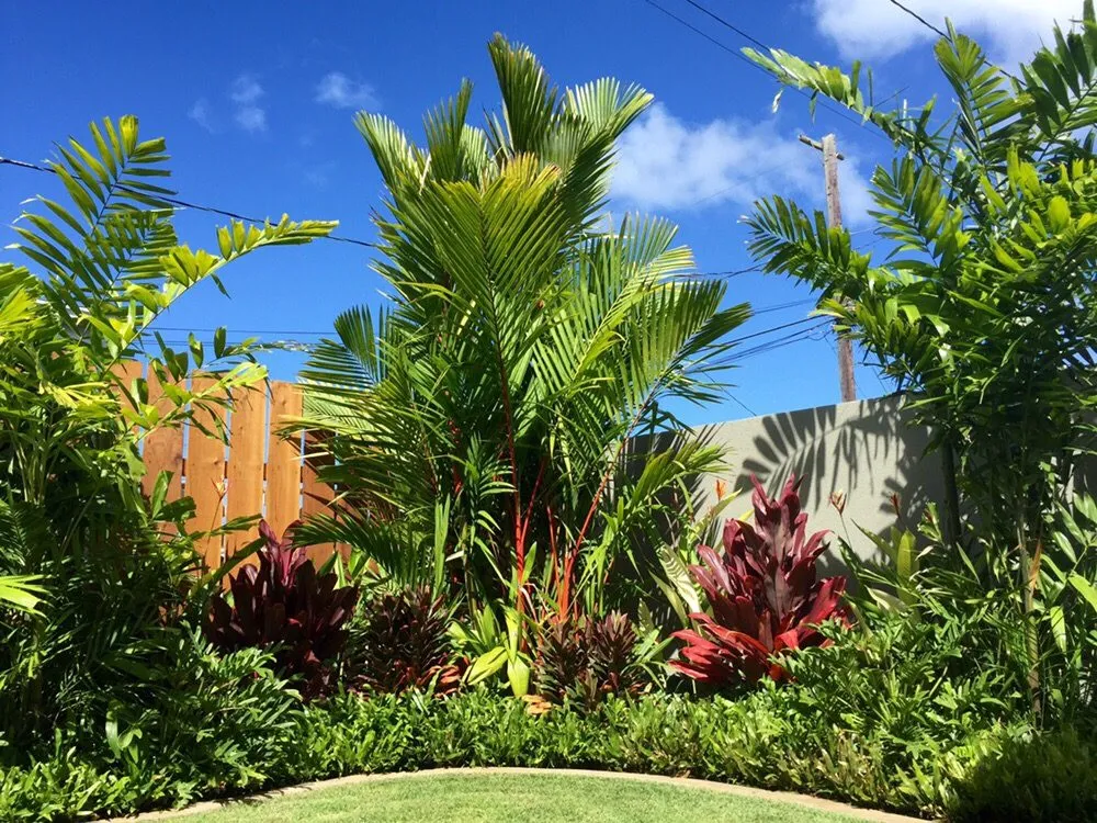Expert landscaping services in Kailua, HI by A & K Landscape Services