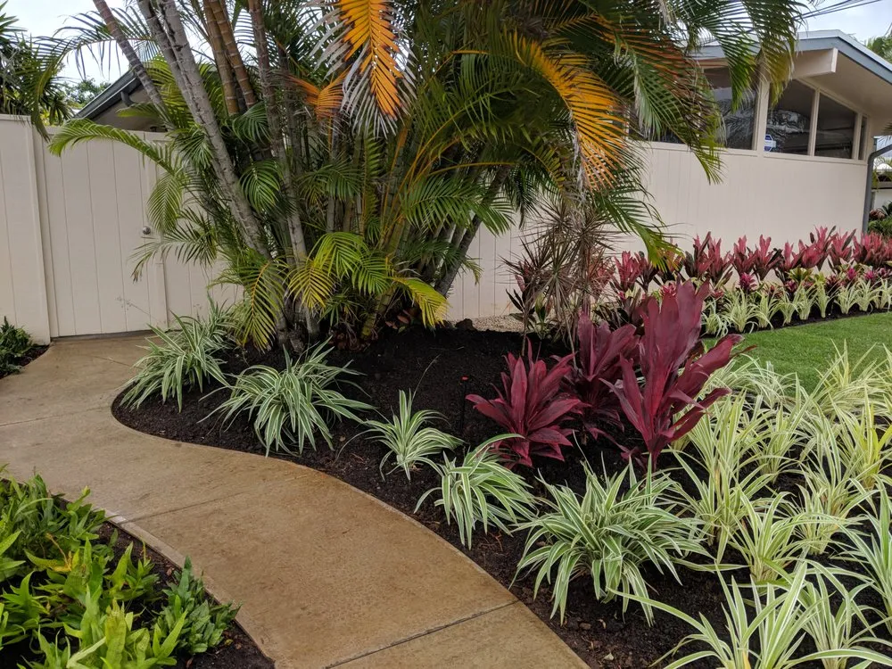 Local yard maintenance experts serving Kailua, HI - A & K Landscape Services