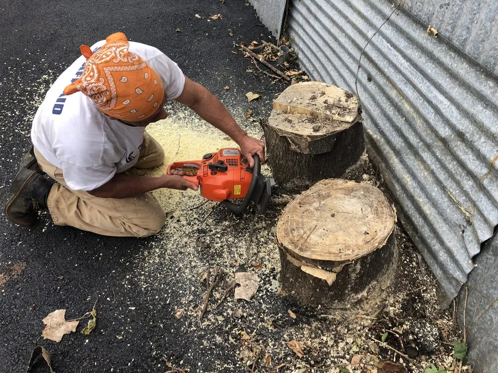 Expert outdoor landscaping in Bayonne, NJ - A & K Landscaping and Tree Service