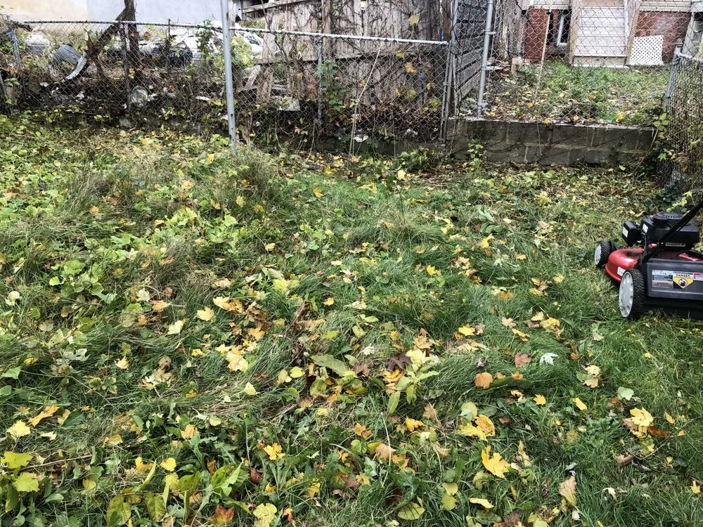 Local garden landscaping in Bayonne, NJ - A & K Landscaping and Tree Service