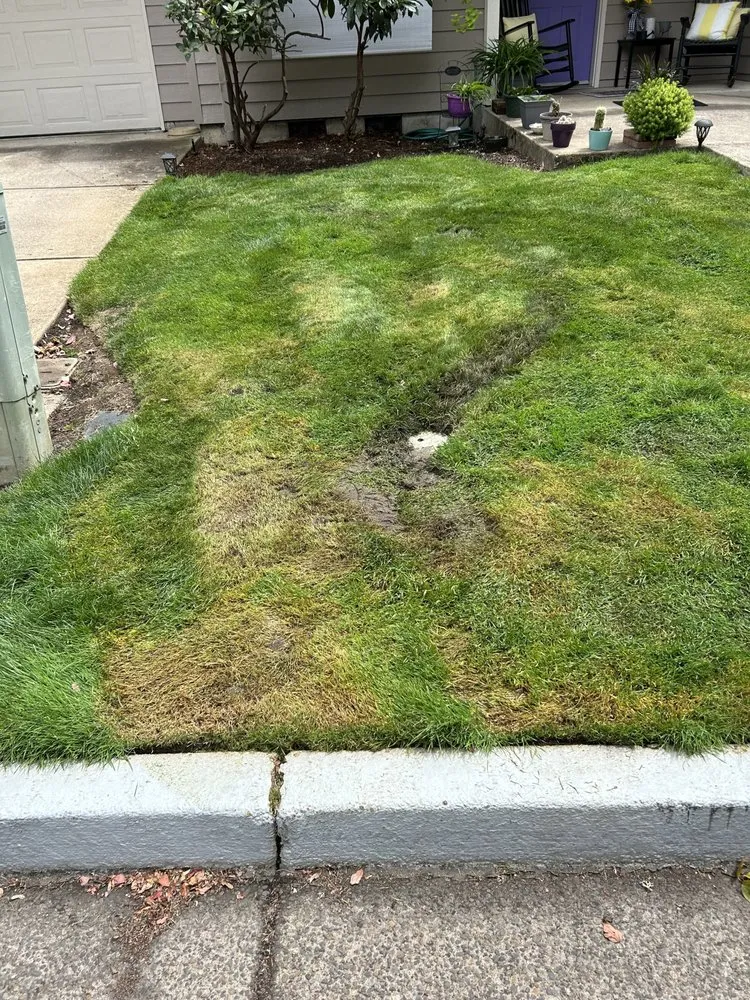 Custom outdoor landscaping in Springfield, OR - A & K Landscaping