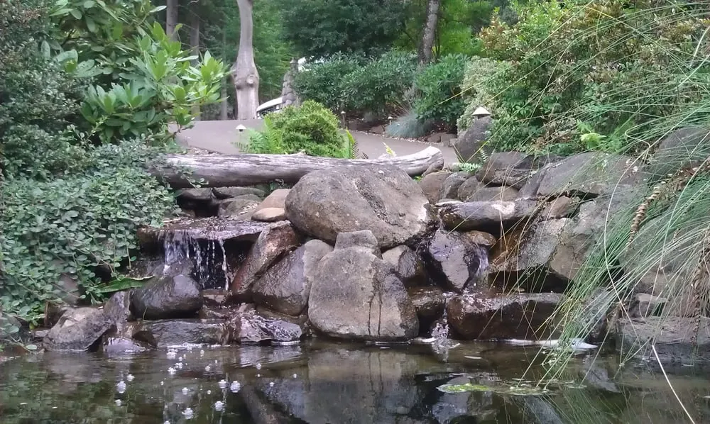 Top-rated residential landscaping for homes in Springfield, OR by A & K Landscaping