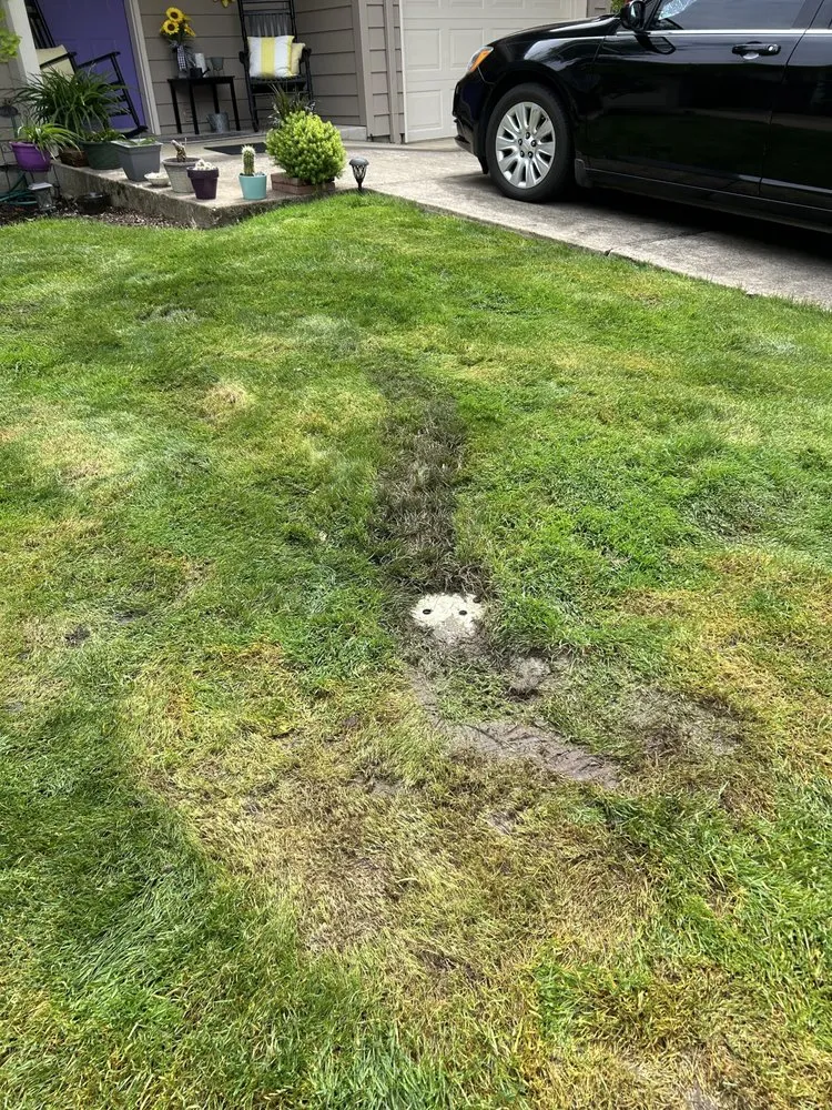 Local lawn mowing service experts serving Springfield, OR - A & K Landscaping