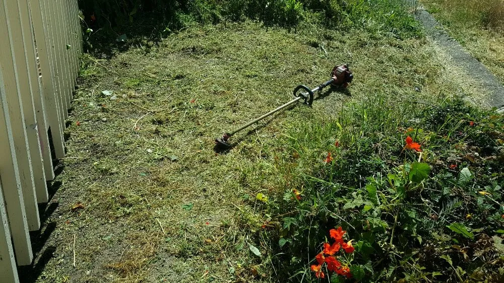 Reliable residential landscaping for beautiful yards across Richmond, CA - A & L Landscapes