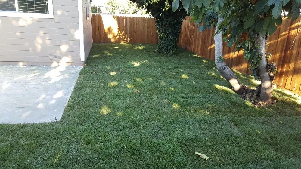 Custom outdoor landscaping for residential properties in Richmond, CA by A & L Landscapes
