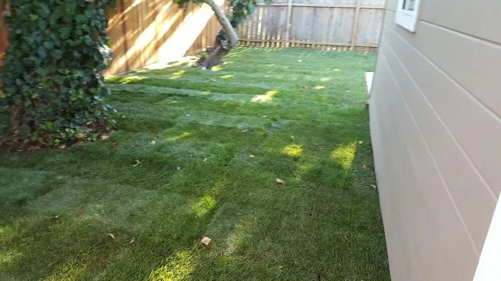 Expert lawn mowing service in Richmond, CA by A & L Landscapes
