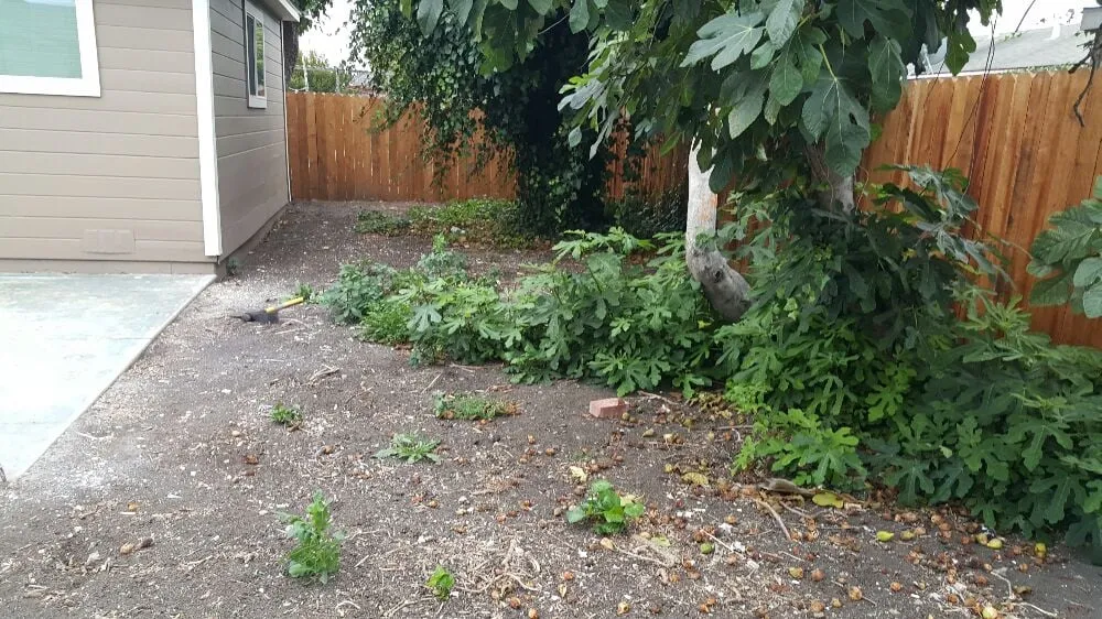 Top-rated landscaping services experts serving Richmond, CA - A & L Landscapes