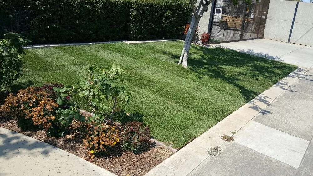 Affordable landscape design experts serving Richmond, CA - A & L Landscapes