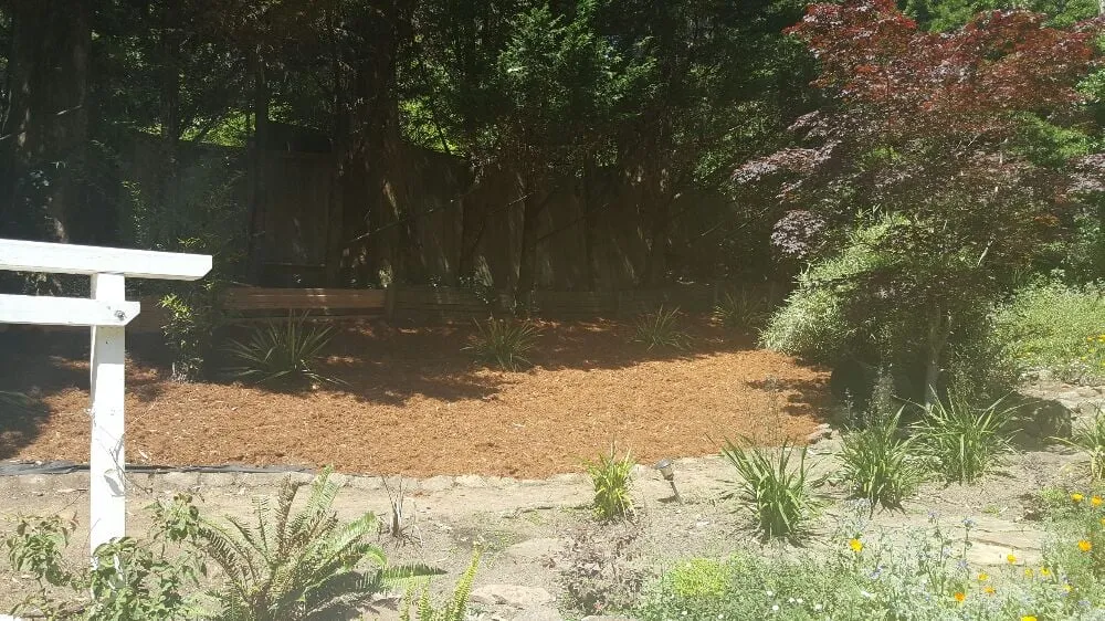Custom garden landscaping for outdoor upgrades across Richmond, CA - A & L Landscapes