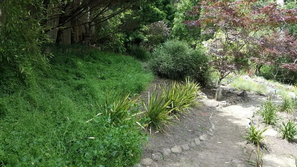 Affordable garden landscaping in Richmond, CA - A & L Landscapes