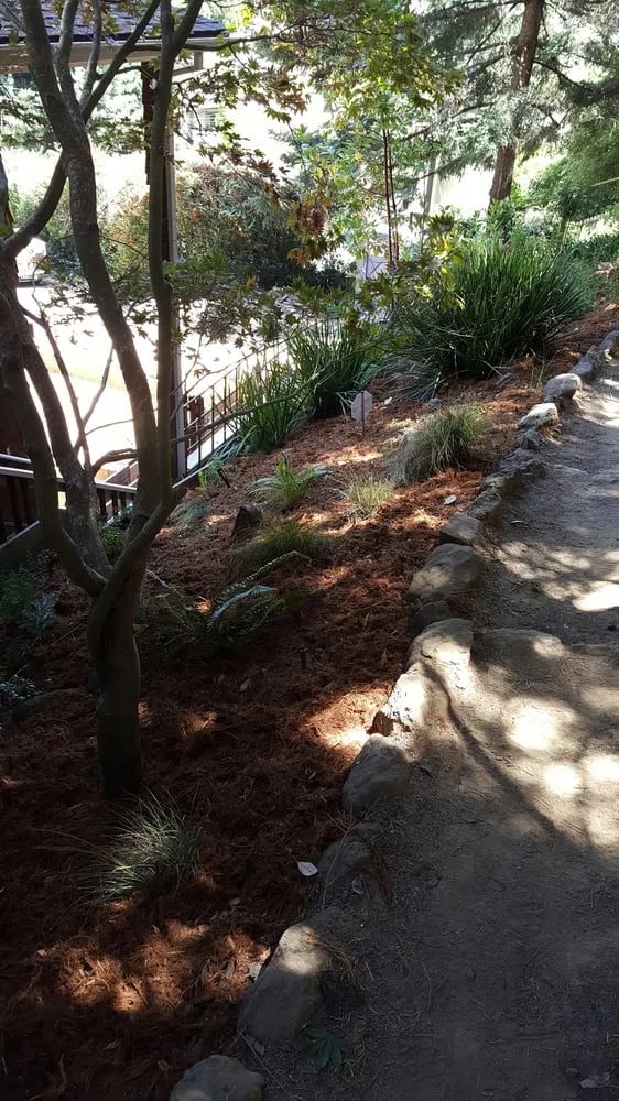 Expert outdoor landscaping experts serving Richmond, CA - A & L Landscapes