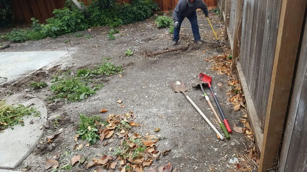 Affordable landscaping services in Richmond, CA - A & L Landscapes