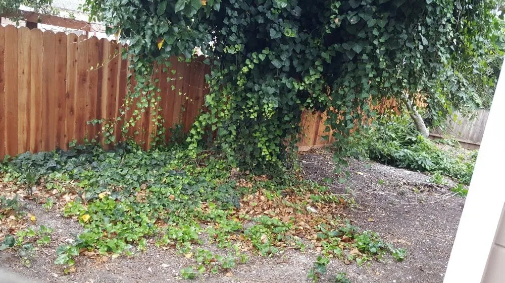 Local garden landscaping in Richmond, CA by A & L Landscapes