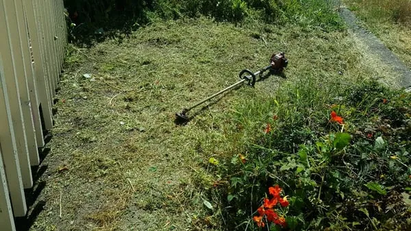 A & L Landscapes Logo